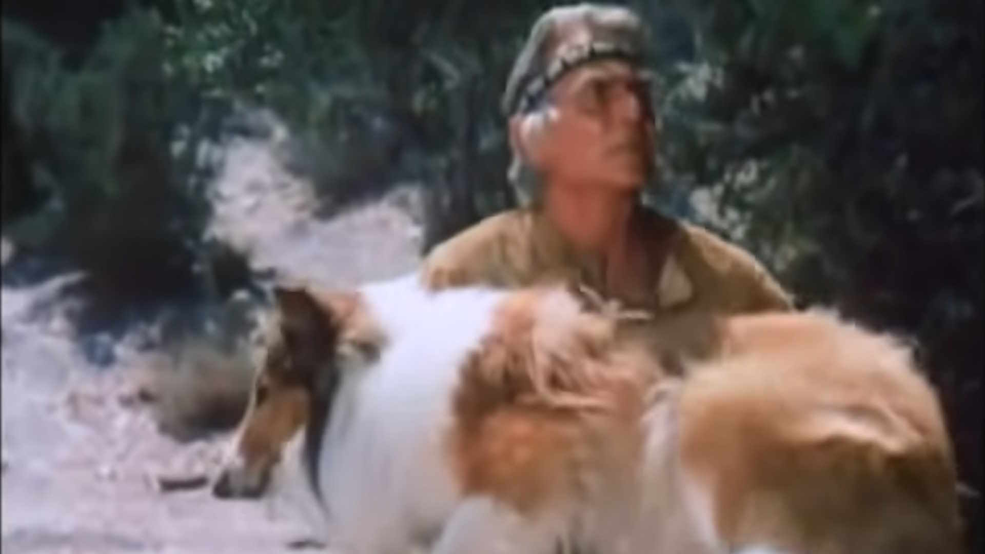 Season 18